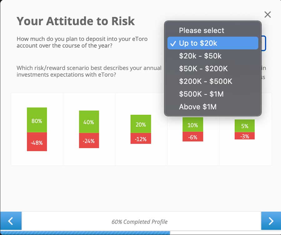 How much you plan to deposit over a year and your risk appetite